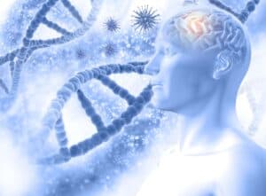 gut-brain connection